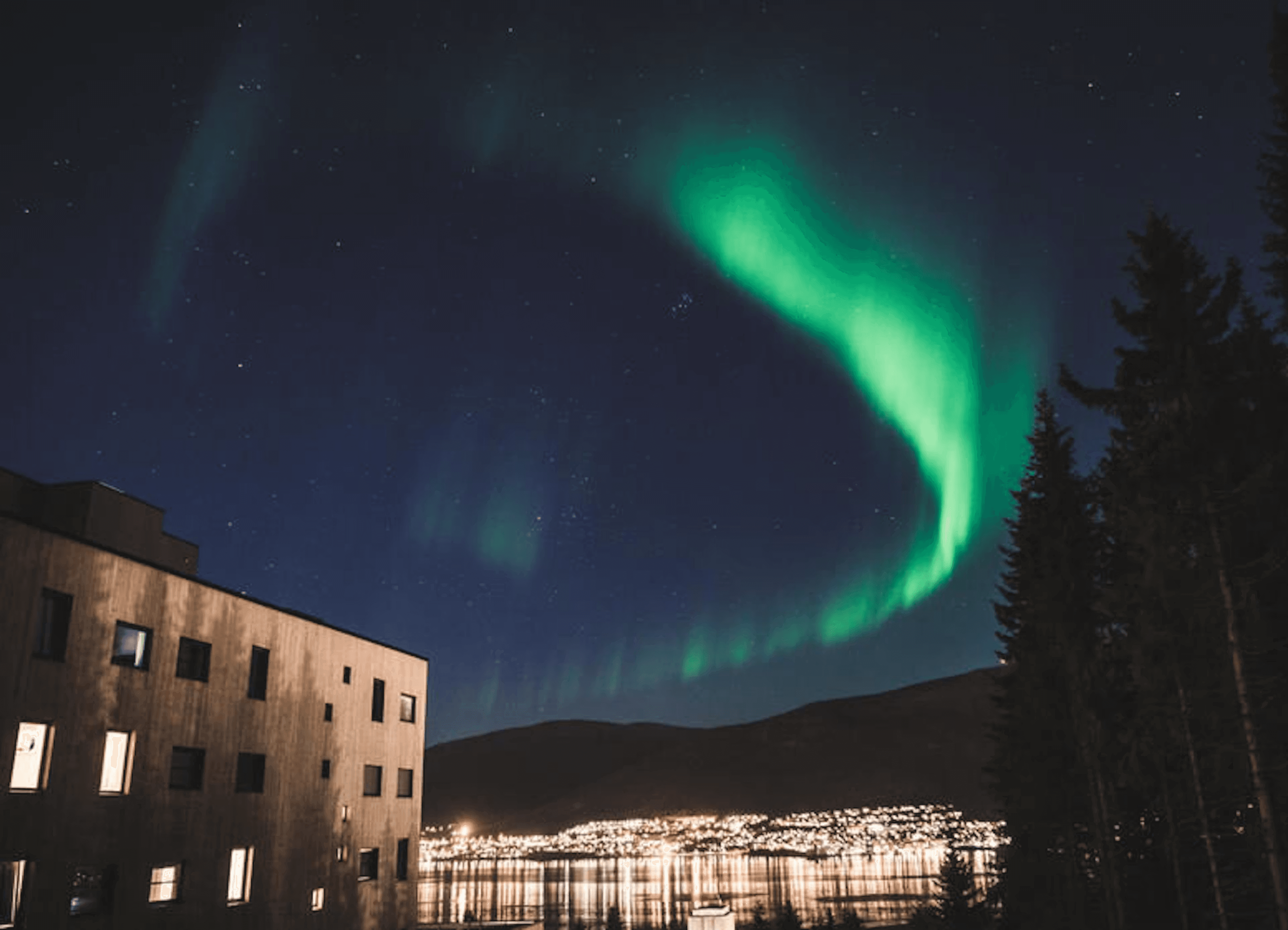 Norges Arktiske Studentsamskipnad